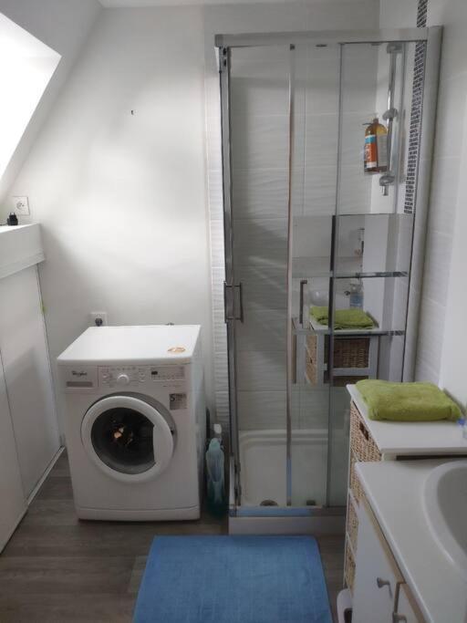 Le Tropica Appartement 2 Chambres, Plein Sud Centre Ville De Vitre Eksteriør billede