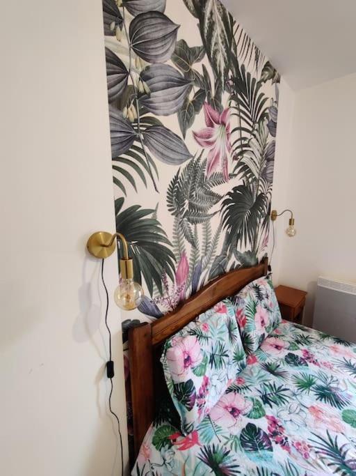 Le Tropica Appartement 2 Chambres, Plein Sud Centre Ville De Vitre Eksteriør billede