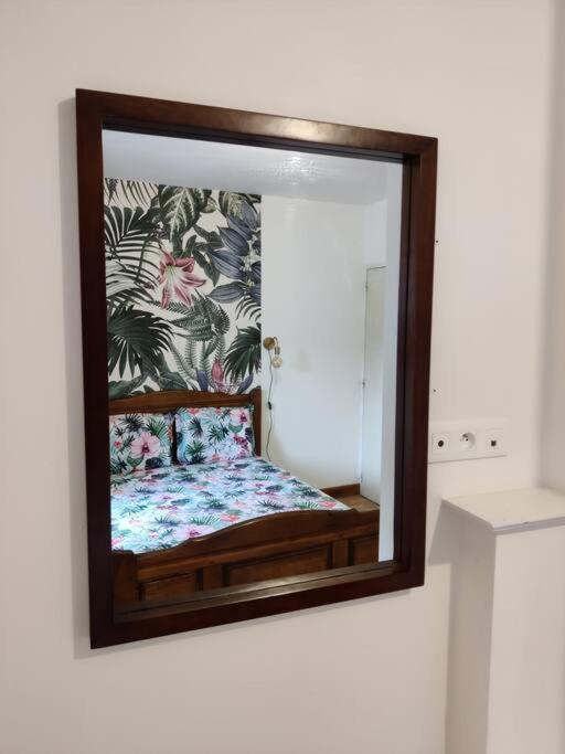 Le Tropica Appartement 2 Chambres, Plein Sud Centre Ville De Vitre Eksteriør billede